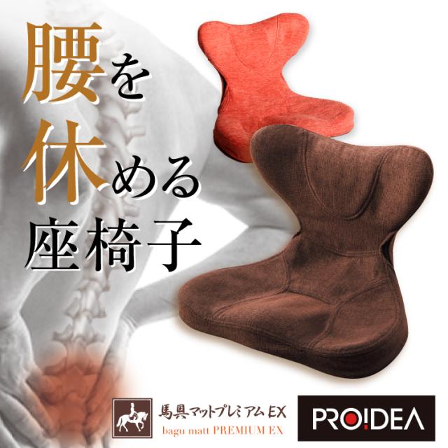 座椅子 腰痛 姿勢矯正 骨盤クッション 馬具マットプレミアムEX
