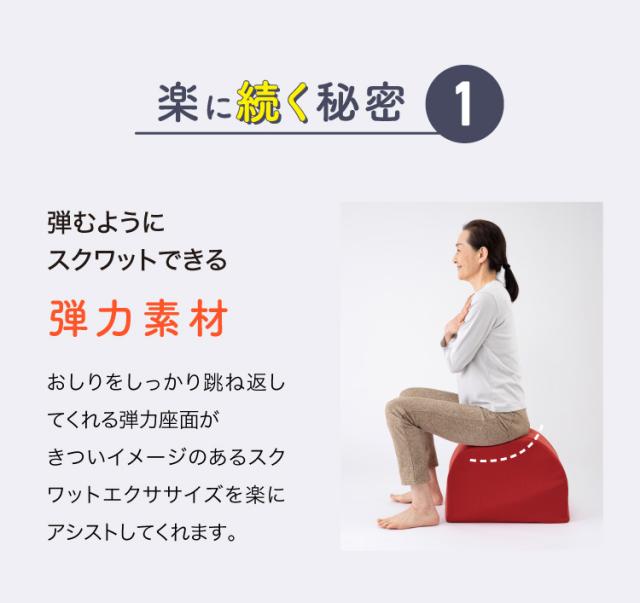 中川式 ストレッチベンチ 腰痛に効果 ストレッチングベンチ | 豊田市