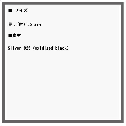 ハリム HARIM 正規販売店 ピアス アクセサリー STAR PIACE (2SET) HRA038 SV 父の日 プレゼント ラッピング_2