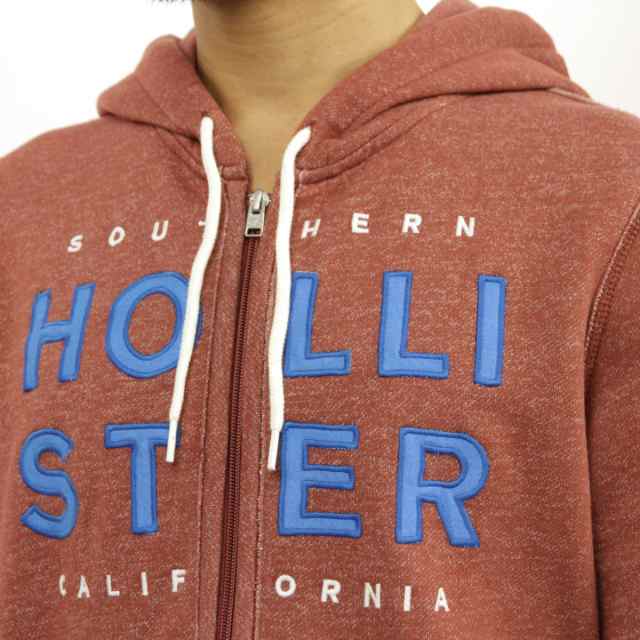 素敵な Hollisterプルオーバー グラフィック パーカー パーカー・フーディ ホリスター パーカー メンズ 正規品 HOLLISTER Textured Logo Graphic Hoodie 322-226-0014-520