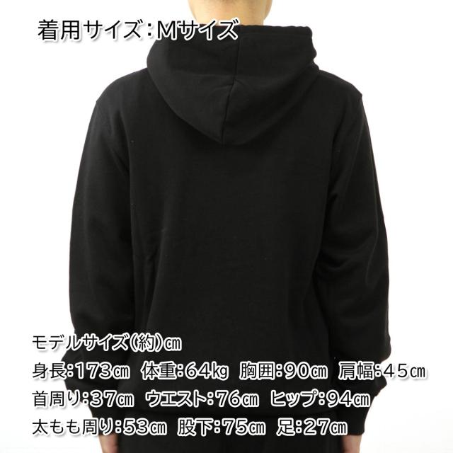 ノースフェイス メンズ パーカー 正規品 THE NORTH FACE ロゴ プルオーバー フーディー 海外限定 GEO NSE PULLOVER HOODIE NF0A7UO7 VPA TNF BLACK / HARBOR BLUE クリスマス プレゼント ラッピング ノースフェイス メンズ パーカー 正規品 THE NORTH FACE ロゴ プル