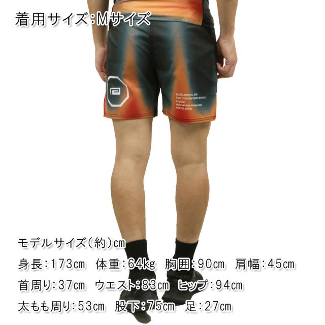 リバーサル メンズ ファイトパンツ 正規販売店 REVERSAL ショートパンツ ハーフパンツ THERMOGRAPHY FIGHT SHORTS ｻｰﾓ RV24AW605-TG THERMOGRAPHY_1