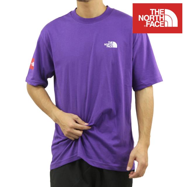 ノースフェイス メンズ 半袖Tシャツ 正規品 THE NORTH FACE クルーネック ロゴ 海外限定 AXYS SHORT SLEEVE TEE  クリスマス プレゼント ラッピング