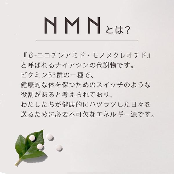 【正規品】  NMN ATHLETE TWELVE THOUSAND 120粒 （エヌエムエヌ アスリート 12000）