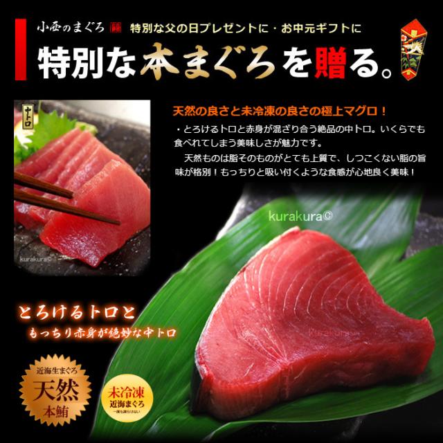 6月限定 天然 近海 生本マグロ 中トロ ブロック (約1kg) 国産(日本海産) 本マグロ クロマグロ 中トロ 生マグロ 生まぐろ まぐろ 鮪 天然 人気 男性 女性 喜ばれる 2026 冷蔵 送料無料_5