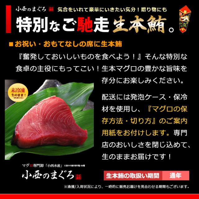 生本マグロ 中トロ ブロック (約800g) 国産 (主に 鹿児島産 長崎産 高知産) 蓄養 生まぐろ 生マグロ 生鮪 中トロ 中とろ 生本まぐろ 本まぐろ 本鮪 まぐろ マグロ まぐろ 鮪 食品 魚介類 水産加工品 マグロ トロ ギフト 贈答 送料無料_10