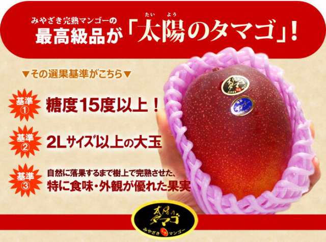 太陽のタマゴ (5L/約650g) 宮崎産 秀品 太陽のたまご たいようの