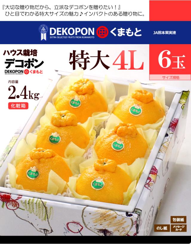 ハウス デコポン 4L 6玉 (約2.4kg) 熊本産 贈答 化粧箱 ギフト 糖度13度以上 優品または秀品 大玉 甘い 熊本デコポン dekopon 不知火 でこぽん 高糖度 光センサー フルーツ 果物 みかん デコポン お年賀 御年賀 お供え 御供え 人気 男性 女性 喜ばれる 2025 糖度 送料無料の通販は