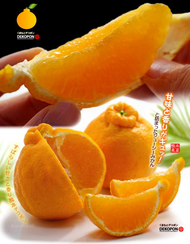 ハウス デコポン 4L 6玉 (約2.4kg) 熊本産 贈答 化粧箱 ギフト 糖度13度以上 優品または秀品 大玉 甘い 熊本デコポン dekopon 不知火 でこぽん 高糖度 光センサー フルーツ 果物 みかん デコポン お年賀 御年賀 お供え 御供え 人気 男性 女性 喜ばれる 2025 糖度 送料無料の通販は