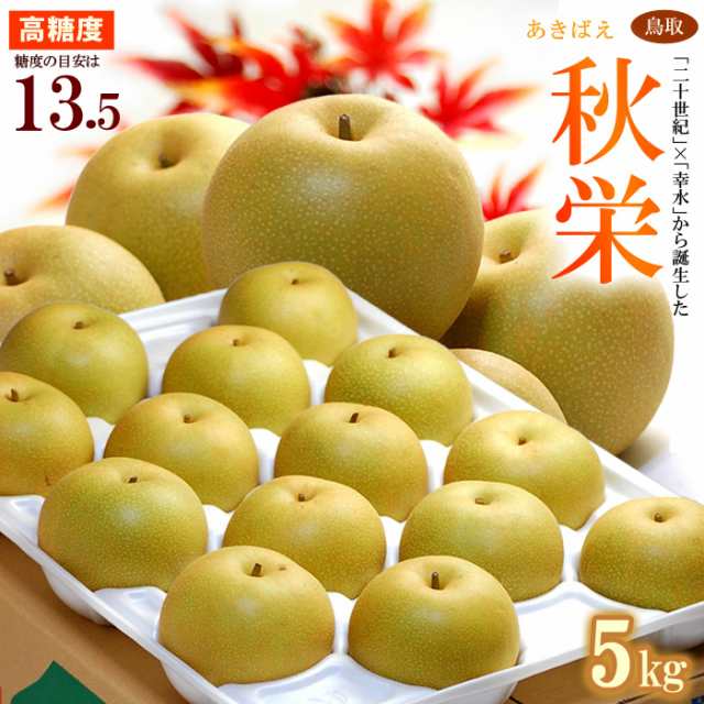 甘熟 あきづき 秋月梨 3L-5L (約5kg) 産地お任せ 秀品 梨 なし ナシ pear 光センサー 糖度12度以上 大玉 秋月 食品 フルーツ  果物 和梨 残暑見舞い ギフト お供え 御供え 送料無料 通販