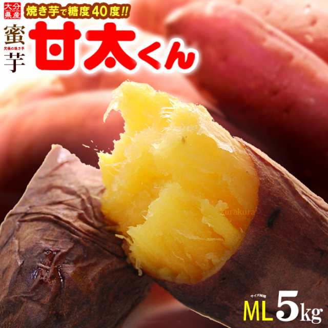 甘太くん M-L (5kg) 大分産 紅はるか かんたくん かんた 蜜 芋 甘い