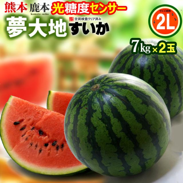 熊本すいか 夢大地 鹿本のスイカ (2L×2玉) 熊本産 秀品 熊本スイカ 贈答 ギフト 熊本 すいか 西瓜 スイカ かもと 糖度11度以上選果 光センサーによる空洞検査済み 食品 フルーツ 果物 スイカ 甘い 人気 男性 女性 喜ばれる 2025 ギフト 贈答 進物 御供え お供え 送料無料の通販は