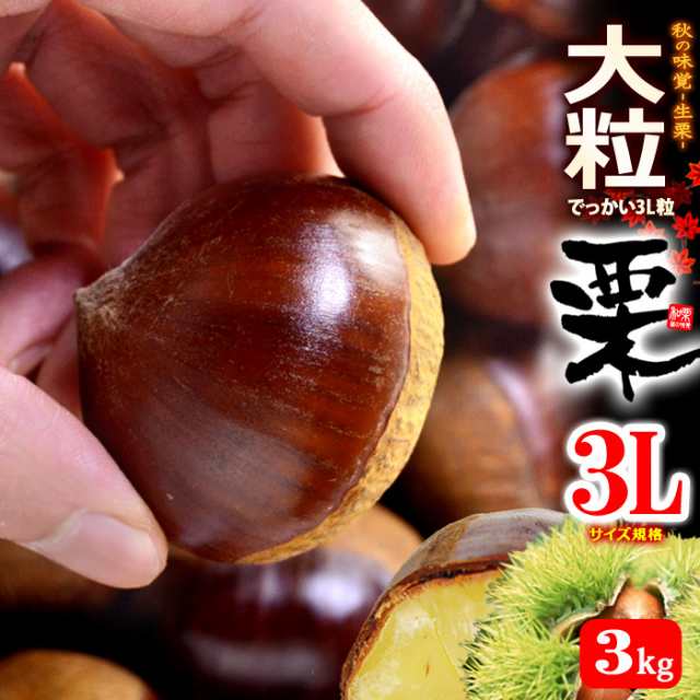 熊本県産　生栗　特大（３L以上）１ｋｇ