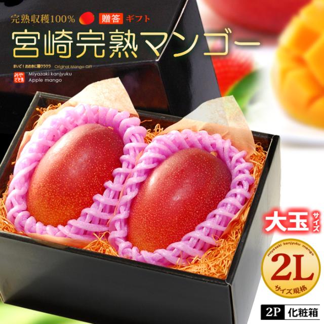 宮崎マンゴー (2L×2玉/約700g) 宮崎産 秀品 宮崎完熟マンゴー 国産マンゴー アップルマンゴー アーウィン種 mango ギフト 贈答 国産 完熟 糖度 甘い 食品 フルーツ 果物 マンゴー 母の日 父の日 お中元 御中元 御供え お供え 人気 男性 女性 喜ばれる 2025 送料無料の通販は
