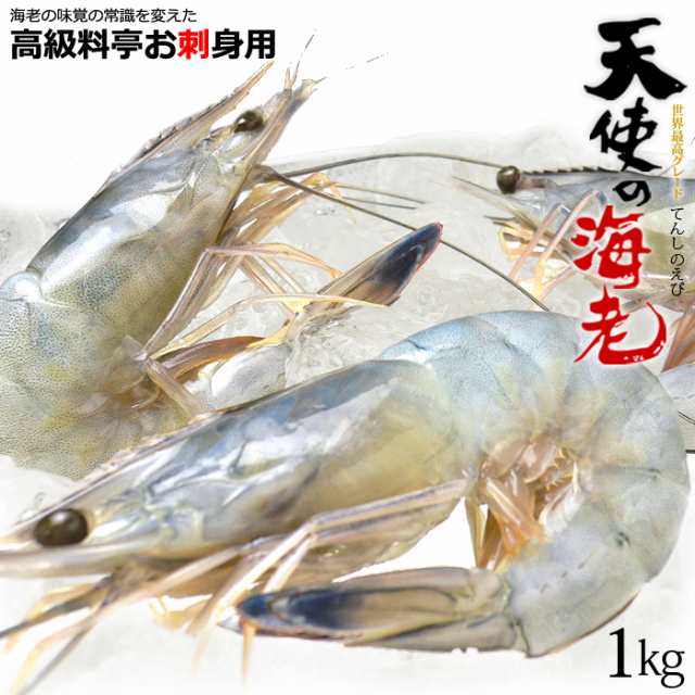 天使の海老 1kg ニューカレドニア産 天使のエビ 30 40 1kg 生食用 てんしのえび クオリサート認定 エビ 海老 えび 食品 魚介類 水産加工の通販はau Pay マーケット まいど おおきに屋クラクラ