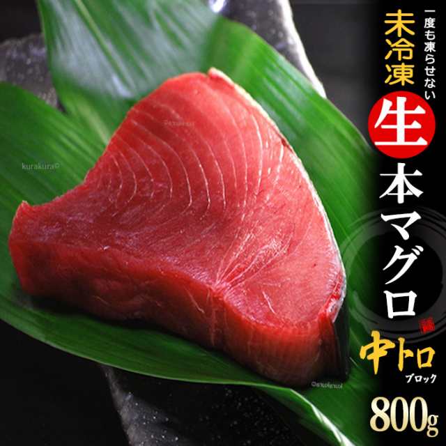 生本マグロ 中トロ ブロック (約800g) 国産 (主に 鹿児島産 長崎産 高知産) 蓄養 生まぐろ 生マグロ 生鮪 中トロ 中とろ 生本まぐろ 本まぐろ 本鮪 まぐろ マグロ まぐろ 鮪 食品 魚介類 水産加工品 マグロ トロ ギフト 贈答 送料無料の通販は