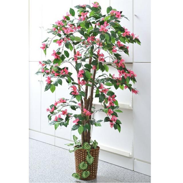 人工観葉植物 ブーゲンビリア 竹カゴ付 手間いらずで華やか お部屋を明るく 花 観葉植物 盆栽 観葉植物 送料無料 ポイント2倍 30の通販はau Pay マーケット 全品送料無料ゆとり生活研究所