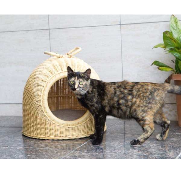 ラタンペットハウス 小 34cm× 34cm×36cm 猫用品 犬用品 小屋 ペット