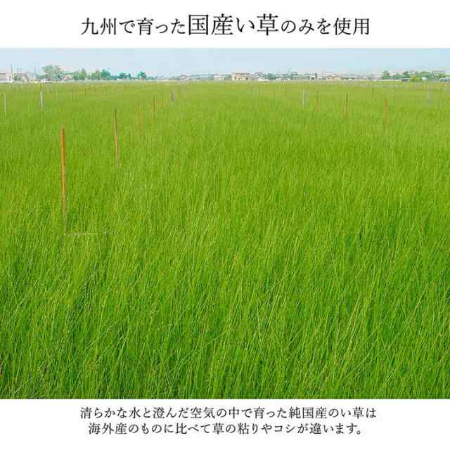 純国産 い草の廊下敷き DXランクス総色 約80×340cm 日用品・生活