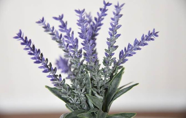 ポプリアートラベンダー 送料無料 かわいい ナチュラル おしゃれ ラベンダー 造花 インテリアフラワー オブジェ 置物の通販はau Pay マーケット 全品送料無料ゆとり生活研究所