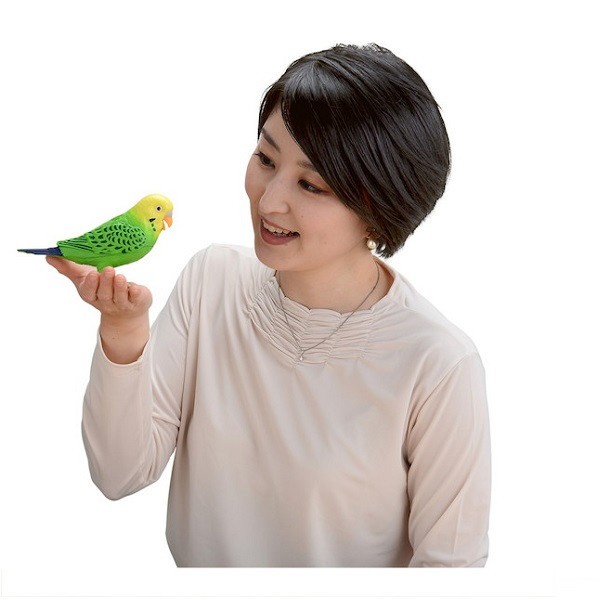 毎日おしゃべり天才インコちゃん おもちゃ ぬいぐるみ Fl 1744 ぬいぐるみ 鳥 インコ 可愛い おしゃべり 知育 歌 楽しい ステイホーム プの通販はau Pay マーケット 全品送料無料ゆとり生活研究所