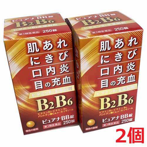 ピュアナBB錠 250錠×2個 〜チョコラBBと同等成分