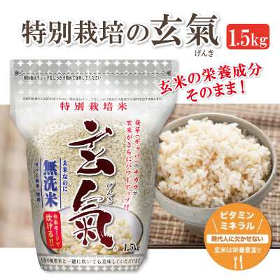 特注生産 【特別栽培の玄氣 1.5kg】玄米 発芽玄米 無洗米 減農薬 減