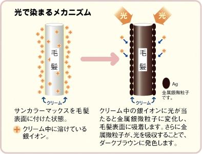 サンカラーマックス　メンズ　白髪染め　ヘアカラー　2箱 光で染まる白髪染め サンカラーマックス 75g 2本セット