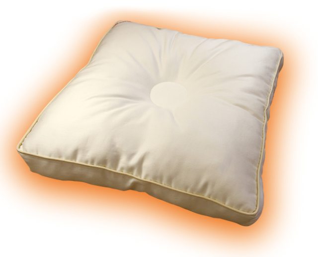 ポカポカ ホットクッション 背当て クッション ポカポカホットクッション 背もたれクッション 冷え対策 保温グッズ 冷え性 腰 腰痛 背中 仙骨 オフィス 腰周り 寒さ対策 冷え性対策 グッズの通販は 10,419円