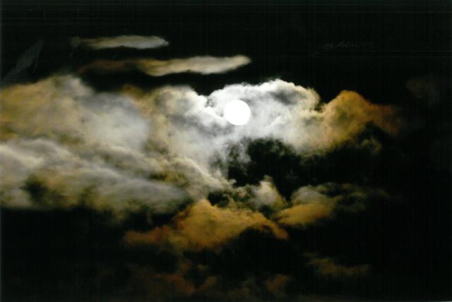 秋元隆良 奇跡の写真 月光龍 開運 幸運 画像 写真 開運グッズ 開運フォト 開運写真 縁起物 お祝い事 事務所開き 誕生日 母の日 父の日 敬の通販は 38,500円