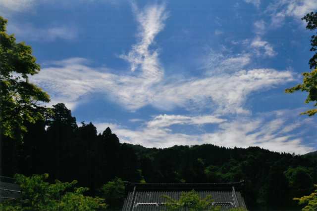 秋元隆良 奇跡の写真 鳳凰・飛来 開運 幸運 画像 写真 開運グッズ 開運