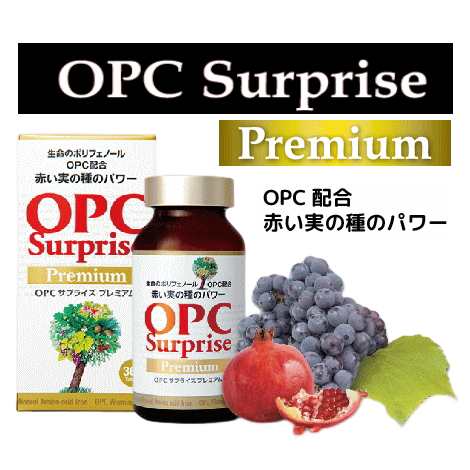 11/下旬 OPC サプライズプレミアム 360粒 ポリフェノール サプリメント