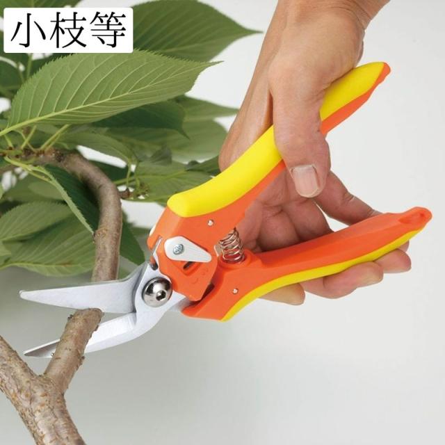 よう専用 ケディオス(KDIOS) 男性用Gヒートカッターxラヴィア フローラor