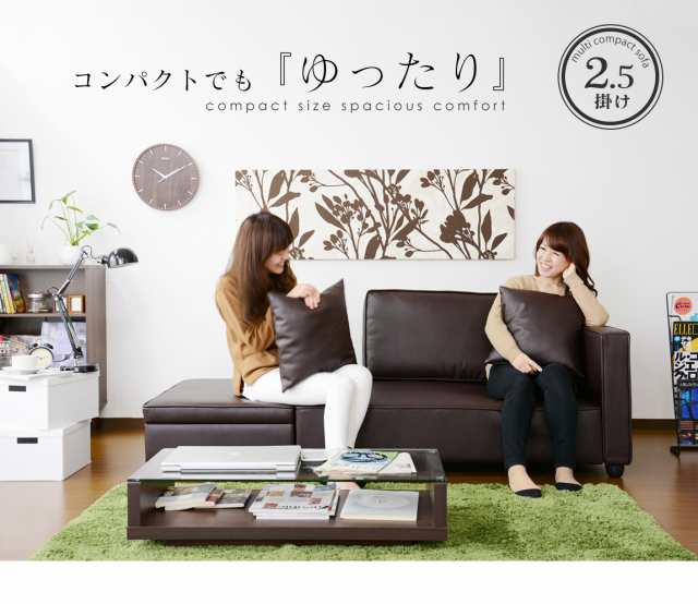 開梱設置付き ソファー 2人掛け カウチ ローソファー 収納 開梱設置付き ソファー 2人掛け カウチ ローソファー 収納