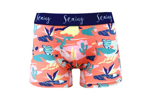 ボクサーパンツ メンズ Seaing シーング 水陸両用 アンダーウェア 男性 