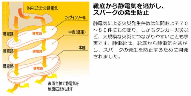 ミドリ安全 安全靴 G3595 静電 (マジックタイプ) ホワイト 23.5〜28.0