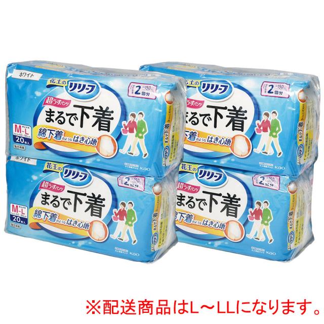 災害備蓄用 大人用紙おむつ SR-4 L 72枚