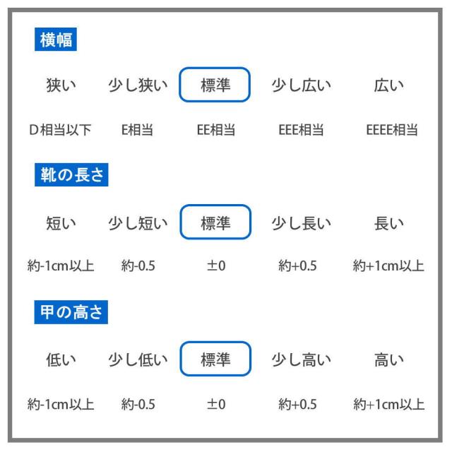 マドラス社製 手を使わず履ける 本革 防水 ビジネスシューズ ストレートチップ プレーントゥ プロコンフォート No.6009 6010_10