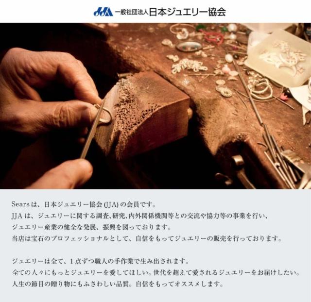 シアーズ 誕生石 ネックレス レディース 月 ムーンモチーフ ダイヤモンド シルバー ネックレス クレセントムーン 誕生日 女性 ネックレス e-1625 レディース プレゼント_10