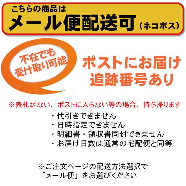 ZIPPO】ジッポ/ジッポ−アーマーシルバー100ミクロン 鏡面仕上げ送料