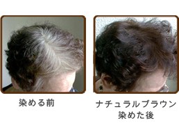 グリーンノート ヘナ 【ハーバルカラー ナチュラルブラウン100ｇ】［白髪染め 髪のカラーリング ヘアーカラーリング ナチュラルな毛染め｜au PAY  マーケット