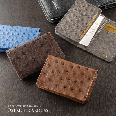 オーストリッチ名刺入れ カードケース (No.9079m)【■SAN■】_F24