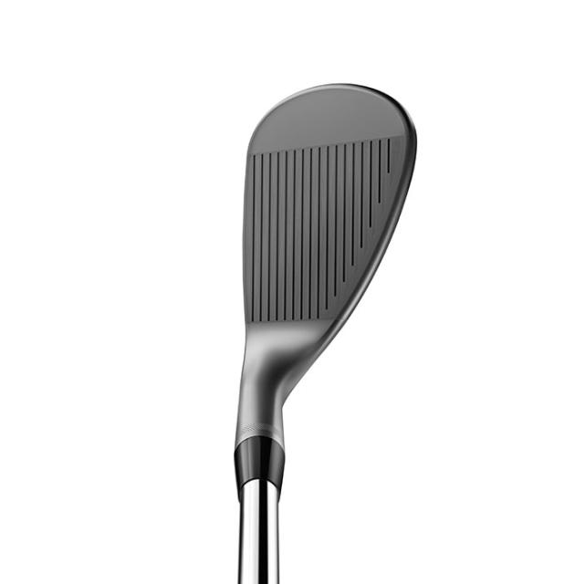 タイトリスト ボーケイデザイン SM10 ウェッジ ニッケル DynamicGold／BV105／N.S.PRO 950GH neoシャフト 2024年モデル Titleis