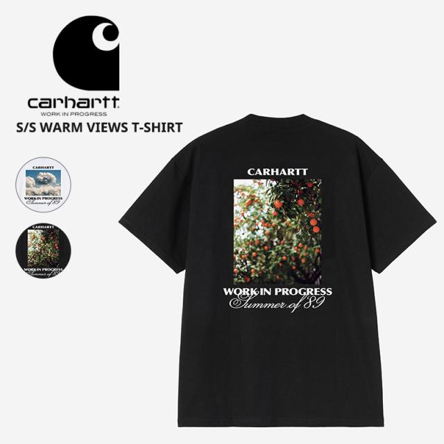 カーハート ダブリューアイピー メンズ 半袖Tシャツ Carhartt WIP ショートスリーブウォームビューTシャツ S/S WARM VIEWS T-SHIRT カットソー トップス Tシャツ I036246