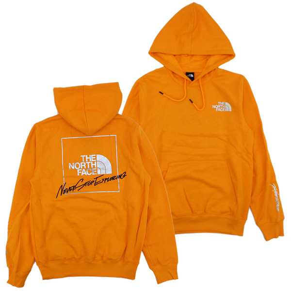 ザ・ノース フェイス(THE NORTH FACE) Mens Graphic Injection Hoodie プルオーバーパーカー スウェット  男性用 メンズ [AA]｜au PAY マーケット