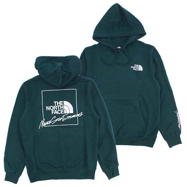 ザ・ノース フェイス(THE NORTH FACE) Mens Graphic Injection Hoodie