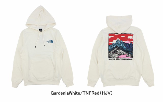 ザ・ノース フェイス(THE NORTH FACE) Mens Graphic Injection Hoodie プルオーバーパーカー スウェット  男性用 メンズ [AA]｜au PAY マーケット