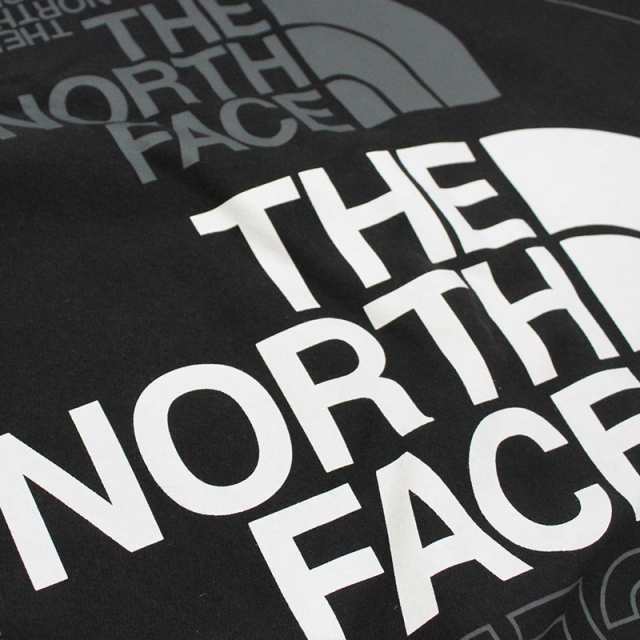 ザ・ノース フェイス THE NORTH FACE Mens Graphic Injection