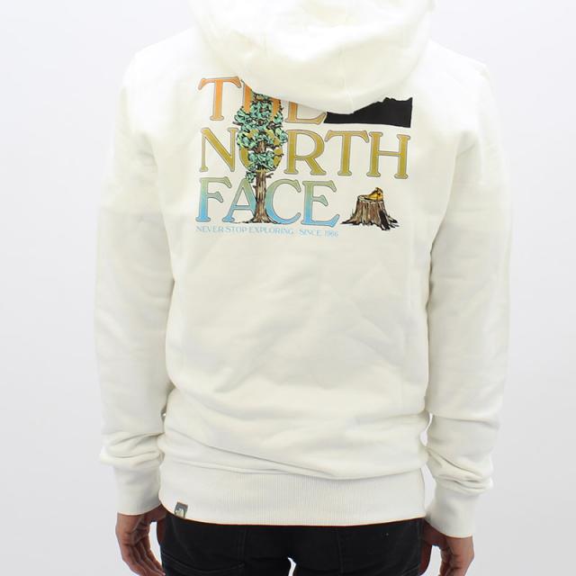 ザ・ノース フェイス THE NORTH FACE MenS/Seasonal Graphic Hoodie プルオーバーパーカー スウェット 男性 メンズ nf0a7x1p_2