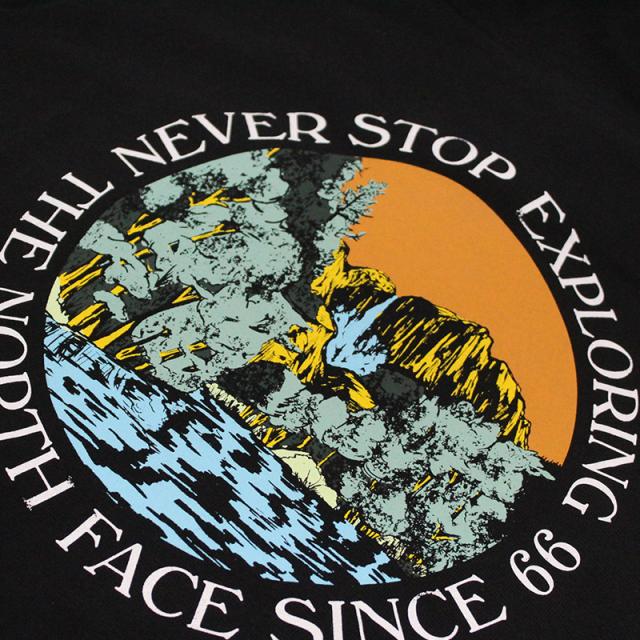 ザ・ノース フェイス THE NORTH FACE MenS/Seasonal Graphic Hoodie プルオーバーパーカー スウェット 男性 メンズ nf0a7x1p_5